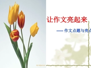 作文点题亮点