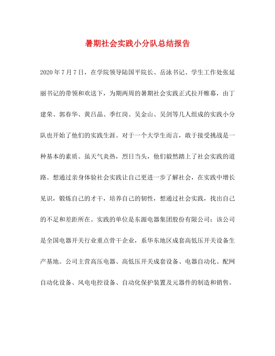 暑期社会实践小分队总结报告_第1页
