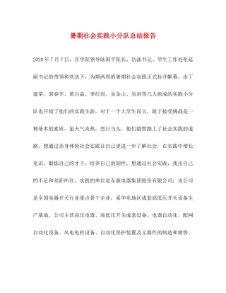 暑期社会实践小分队总结报告