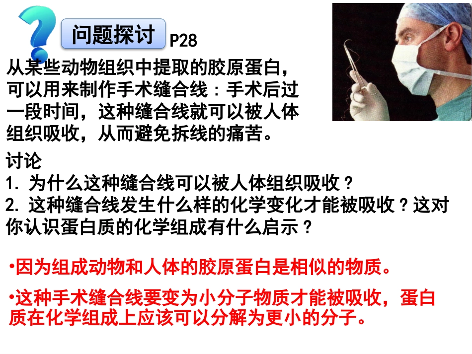 蛋白质是生命活动的主要承担者_第2页