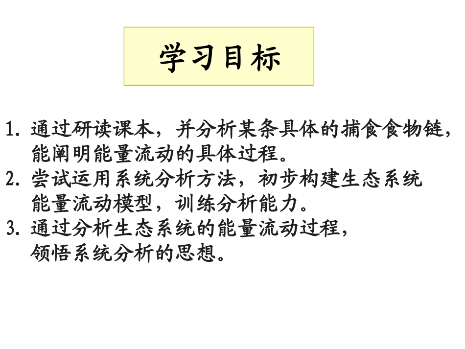 《能量流动的过程》微课课件_第3页
