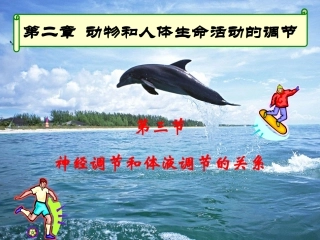 必修三第2章动物和人体生命活动的调节第3节神经调节与体液调节的关系