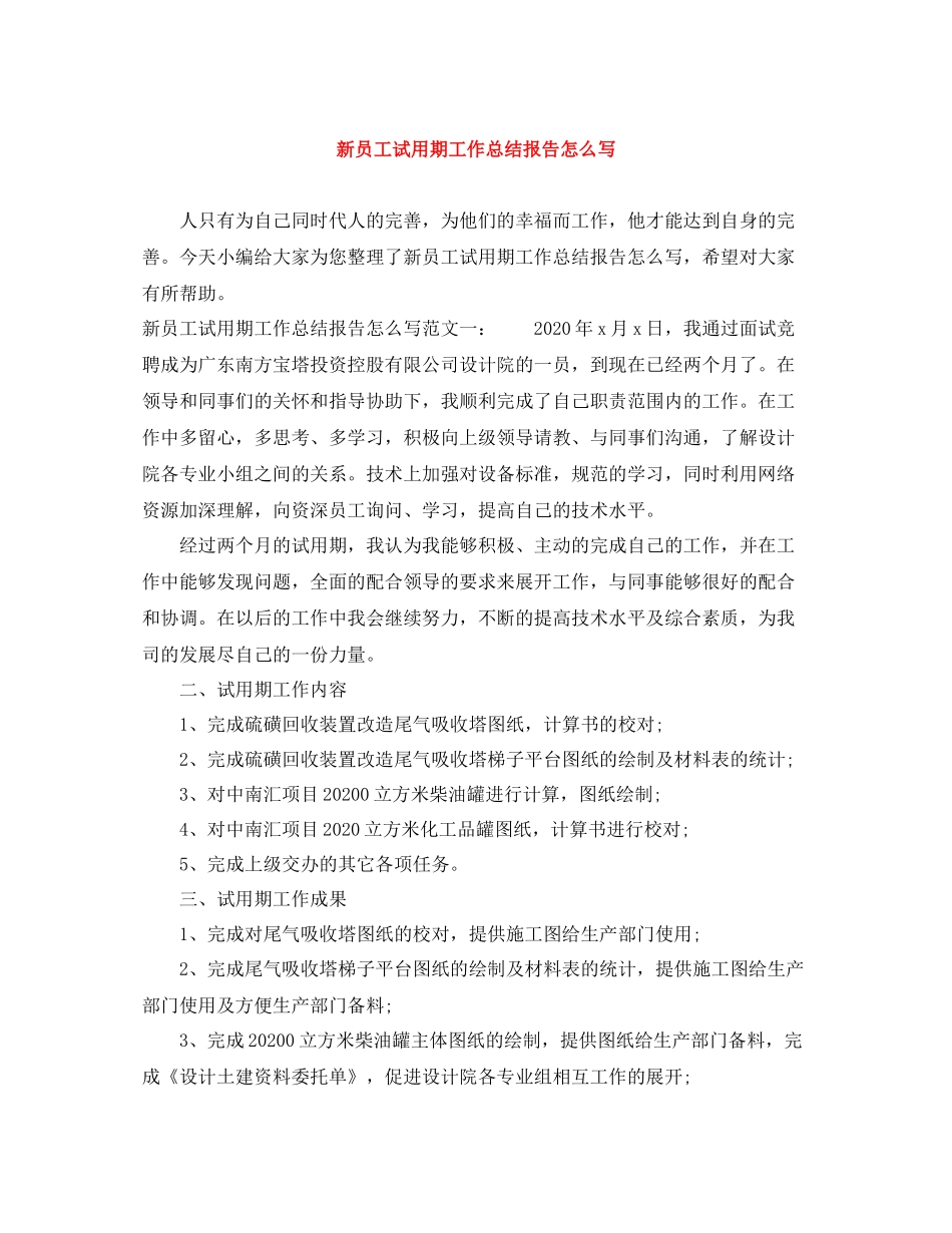 新员工试用期工作总结报告怎么写_第1页