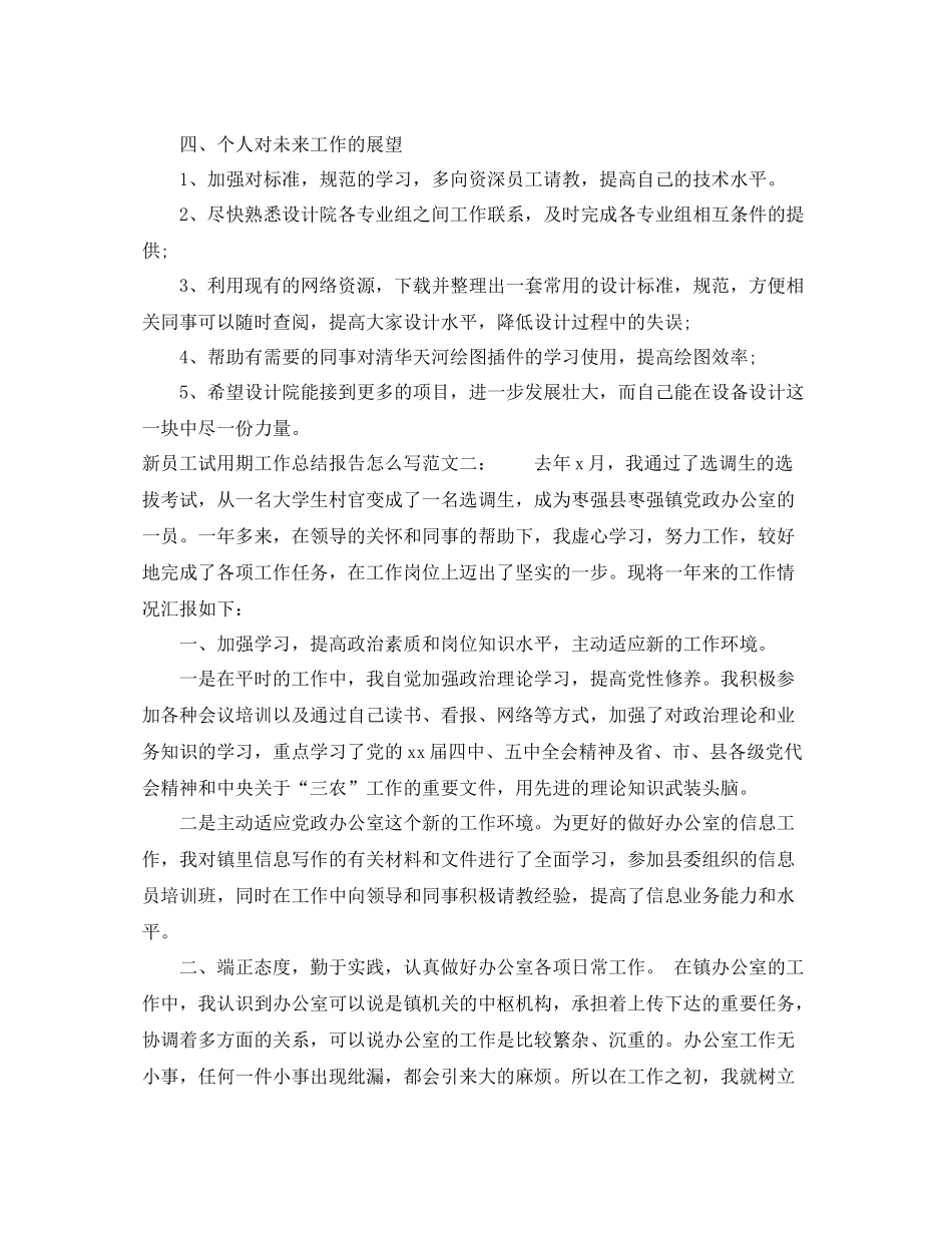 新员工试用期工作总结报告怎么写_第2页