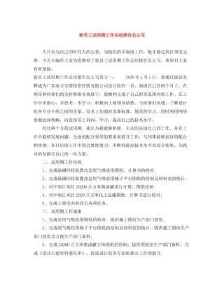 新员工试用期工作总结报告怎么写