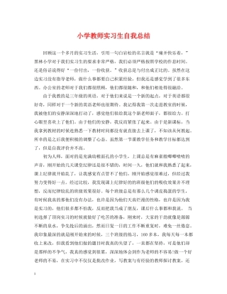 小学教师实习生自我总结