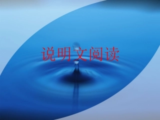 动物游戏之谜