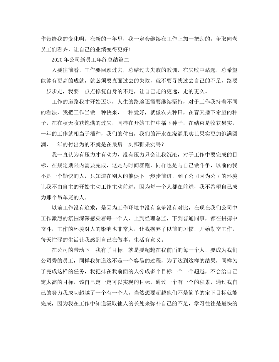 2020年公司新员工年终总结_第2页