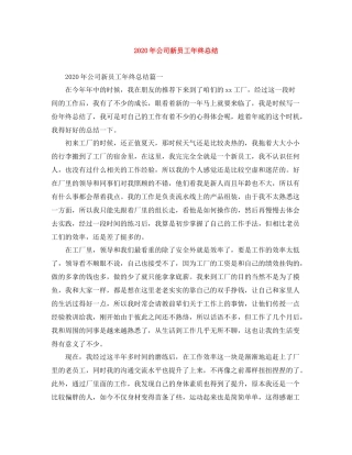 2020年公司新员工年终总结