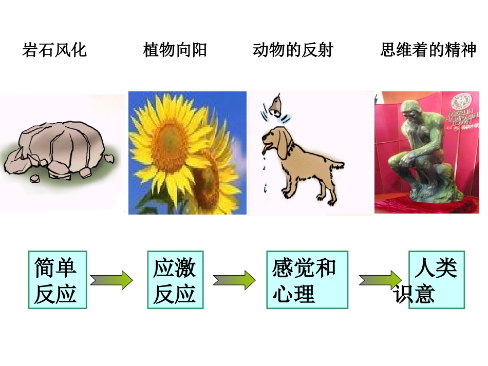第五课第一框意识的本质_第3页