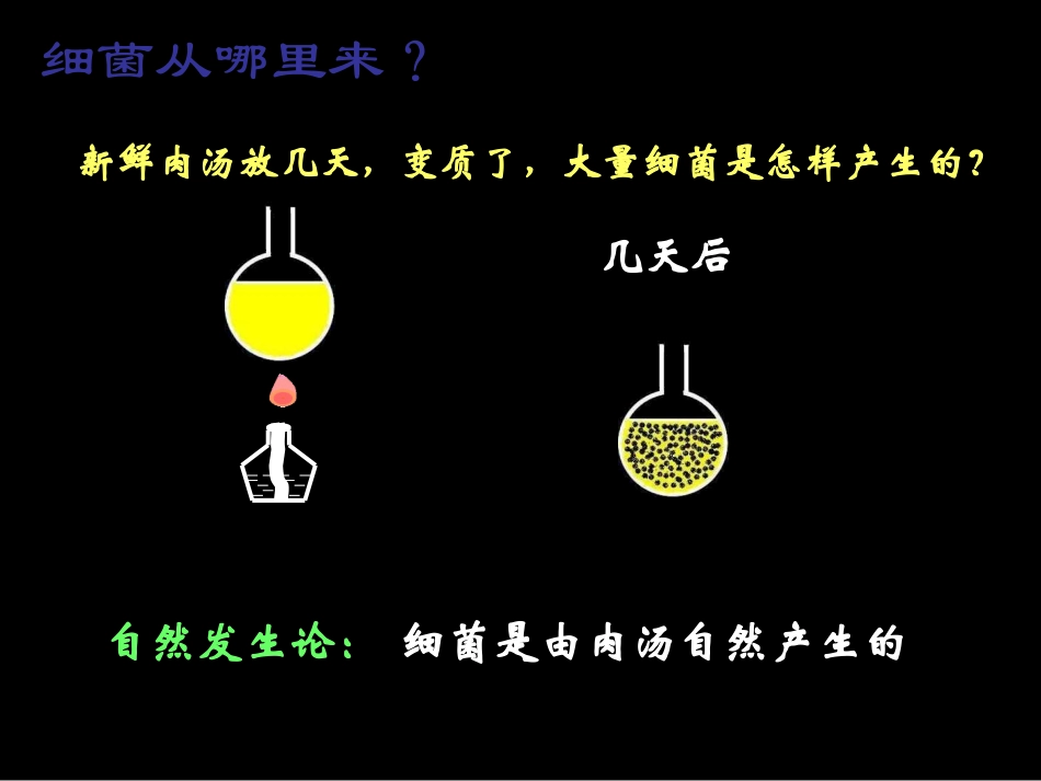 第二节细菌。(1)_第2页