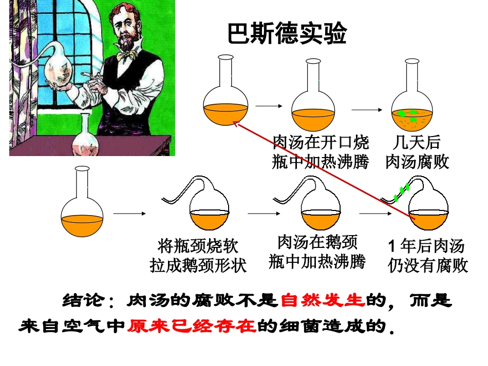 第二节细菌。(1)_第3页