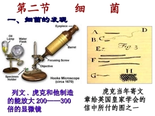 第二节细菌。(1)