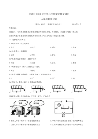 上海市杨浦区2019届九年级中考二模物理试题及答案 