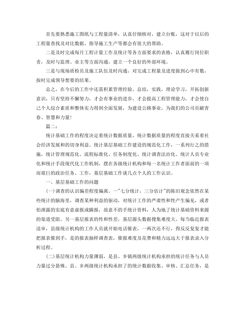 统计工作个人工作总结_第2页