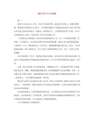 统计工作个人工作总结