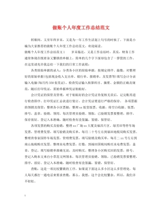 做账个人年度工作总结范文