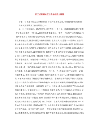 员工试用期转正工作总结范文两篇