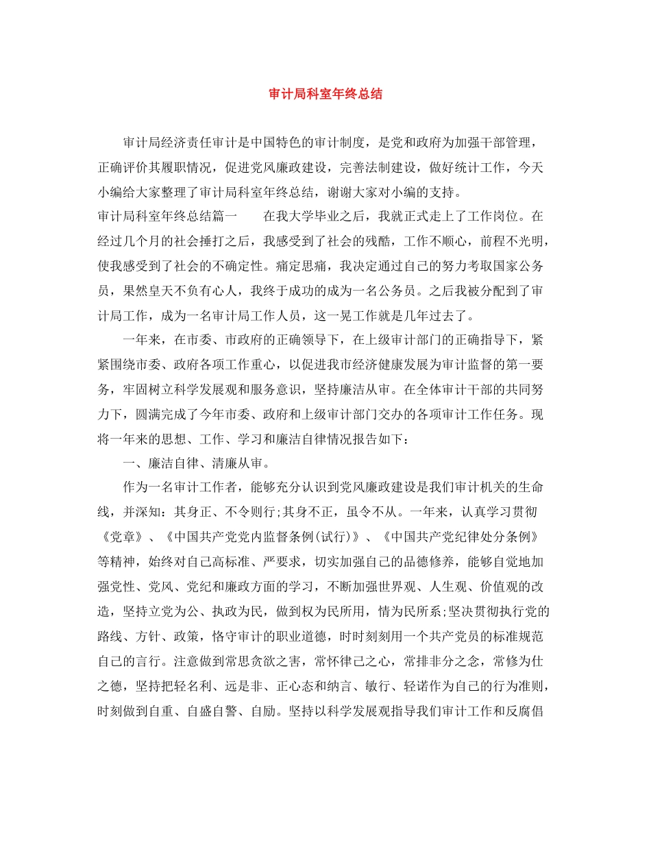 审计局科室年终总结_第1页