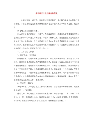 实习期三个月自我总结范文