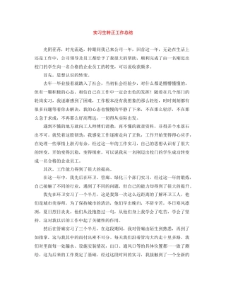 实习生转正工作总结