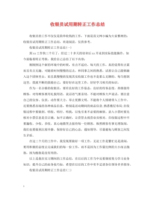 收银员试用期转正工作总结2