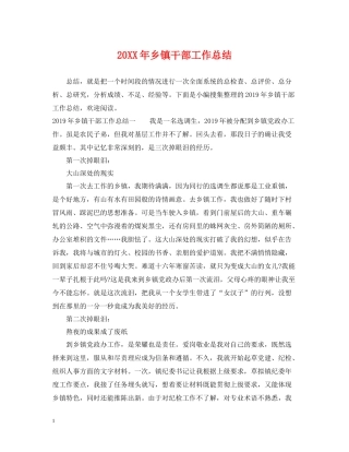 乡镇干部工作总结