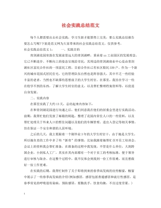 社会实践总结范文