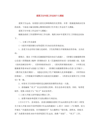 爱国卫生年度工作总结个人模板