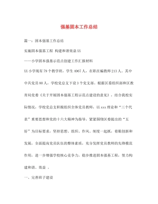 强基固本工作总结