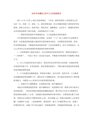 2020年乡镇长工作个人工作总结范文