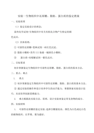蛋白质的检测流程