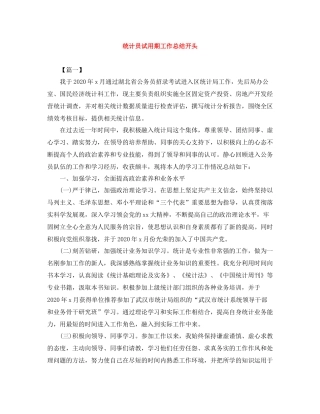 统计员试用期工作总结开头