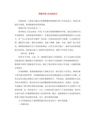 团委年度工作总结范文