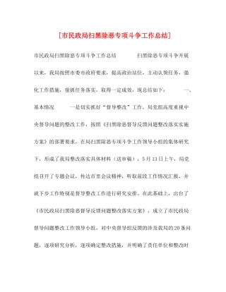 [市民政局扫黑除恶专项斗争工作总结]