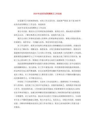 2020年业务员试用期转正工作总结