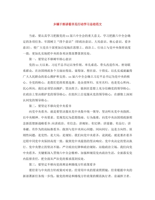 乡镇干部讲看齐见行动学习总结范文