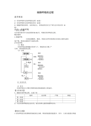 细胞呼吸的过程