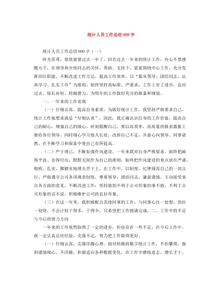 统计人员工作总结900字