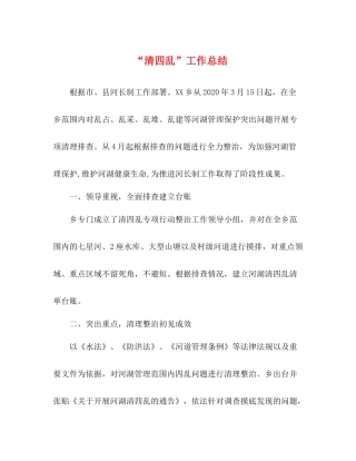 清四乱工作总结