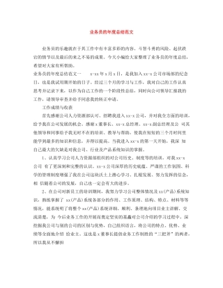 业务员的年度总结范文