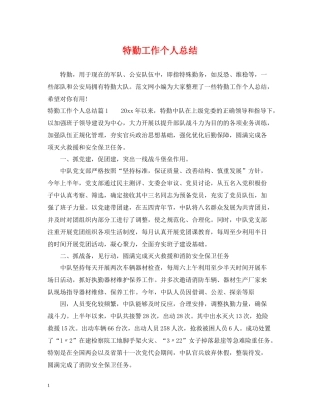 特勤工作个人总结