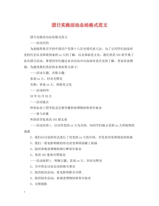 团日实践活动总结格式范文