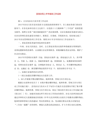 县信访局上半年综治工作总结