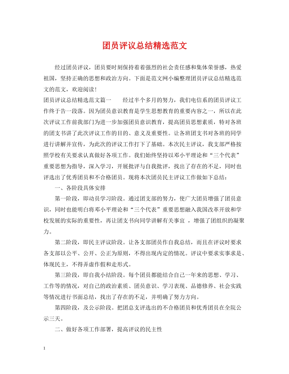 团员评议总结精选范文_第1页