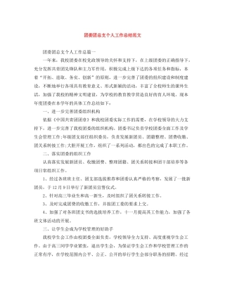 团委团总支个人工作总结范文