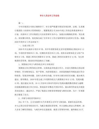 审计人员全年工作总结