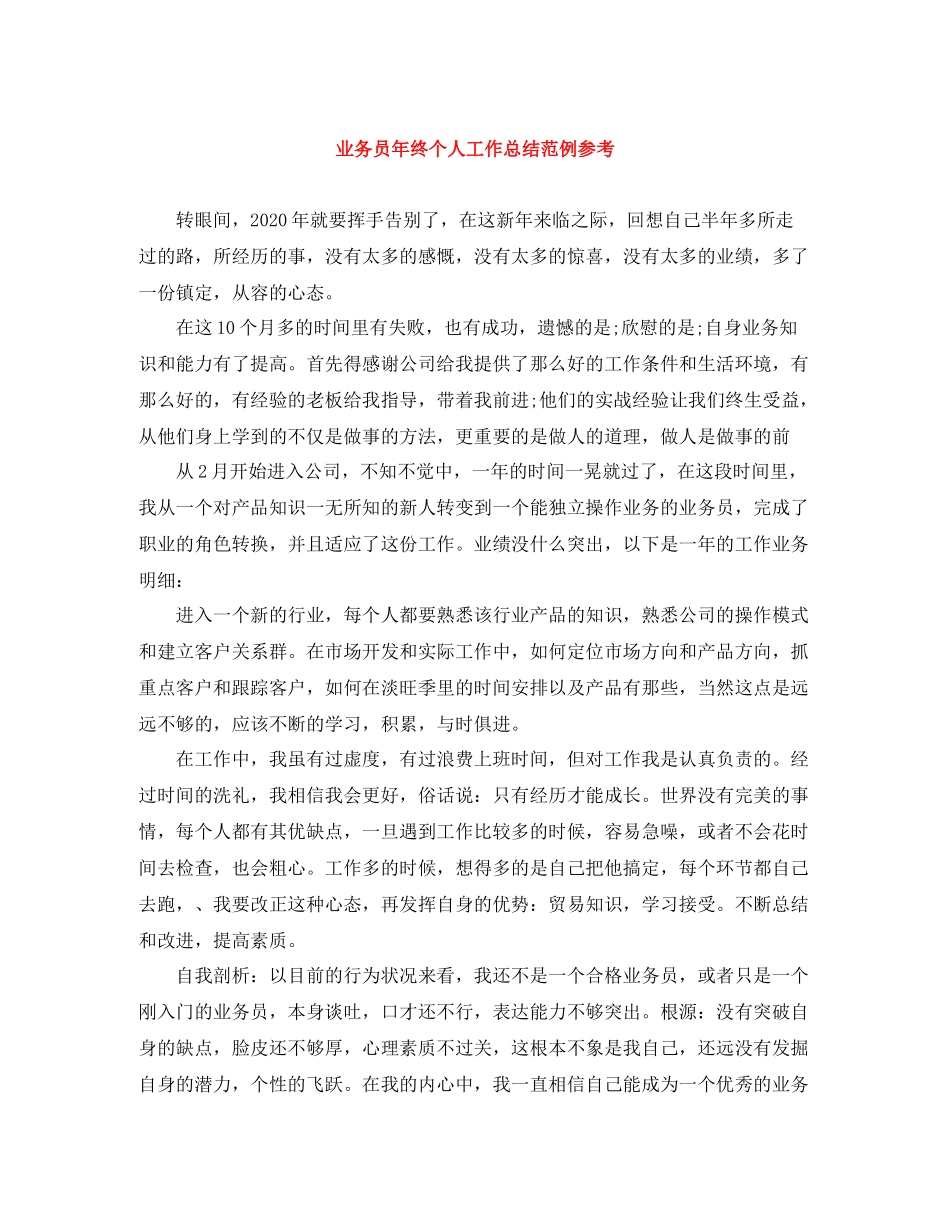 业务员年终个人工作总结范例参考_第1页