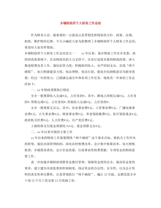 乡镇财政所个人财务工作总结