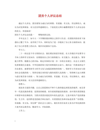 团员个人评议总结